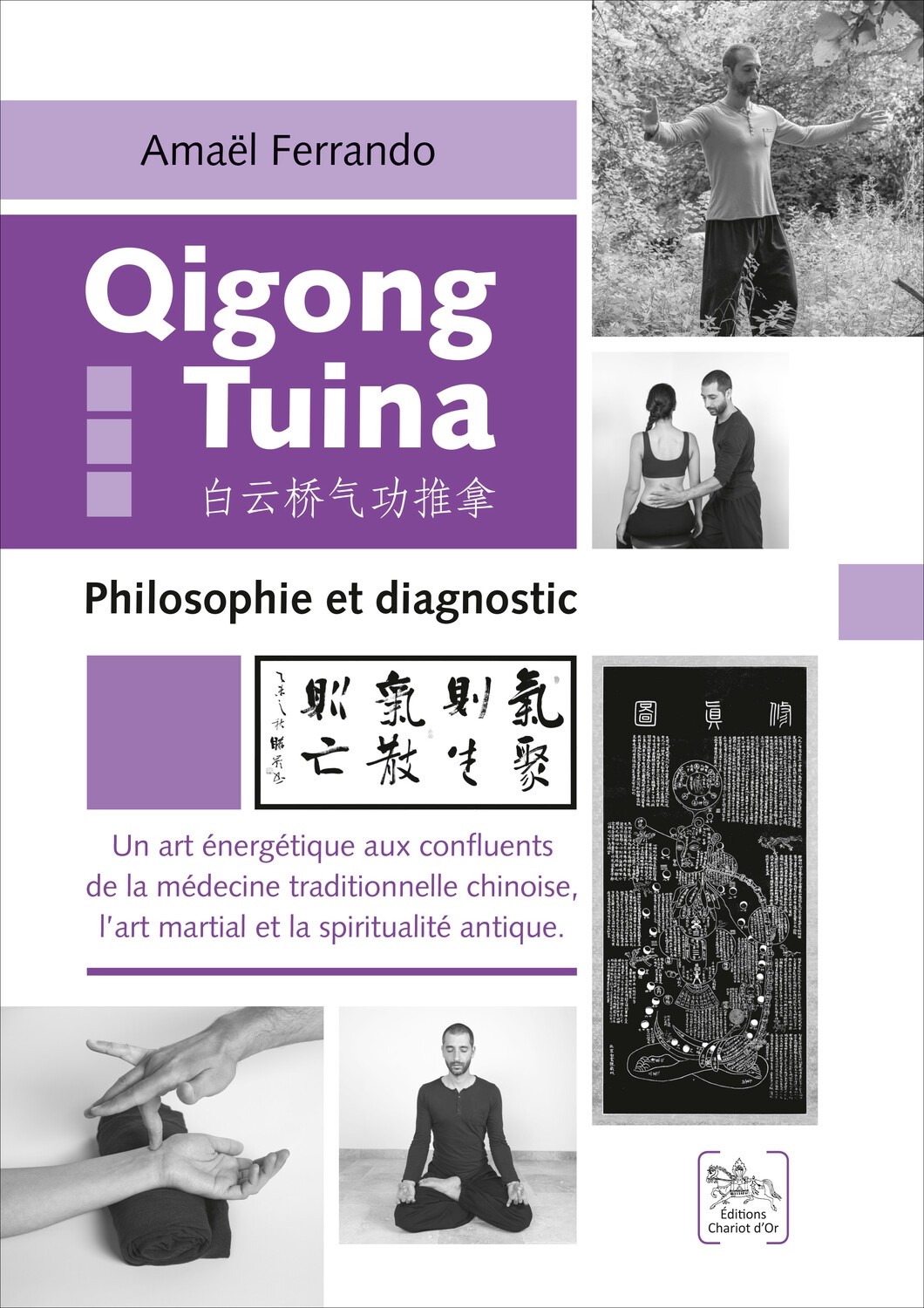 Qigong Tuina Tome 3 - Philosophie et diagnostic
