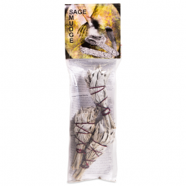 Sauge blanche confection de 3
