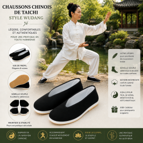 Chaussons Chinois de Taichi style Wu Dang