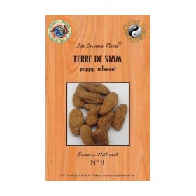 Encens rare Terre de Siam 25g